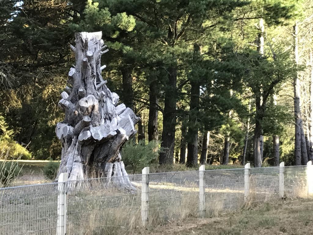 Helen'S Homestead Enfield Екстериор снимка