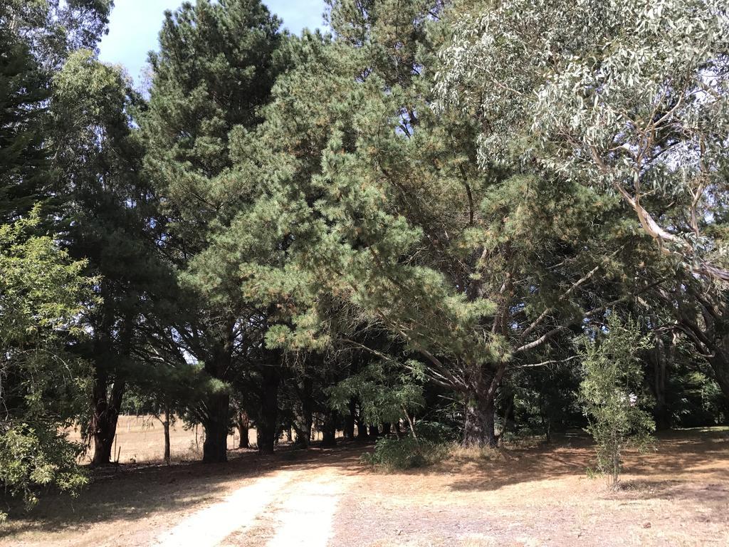 Helen'S Homestead Enfield Екстериор снимка
