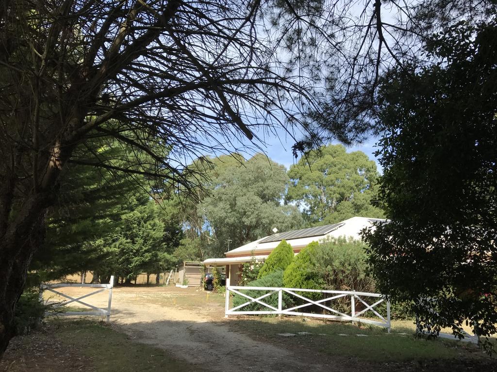 Helen'S Homestead Enfield Екстериор снимка