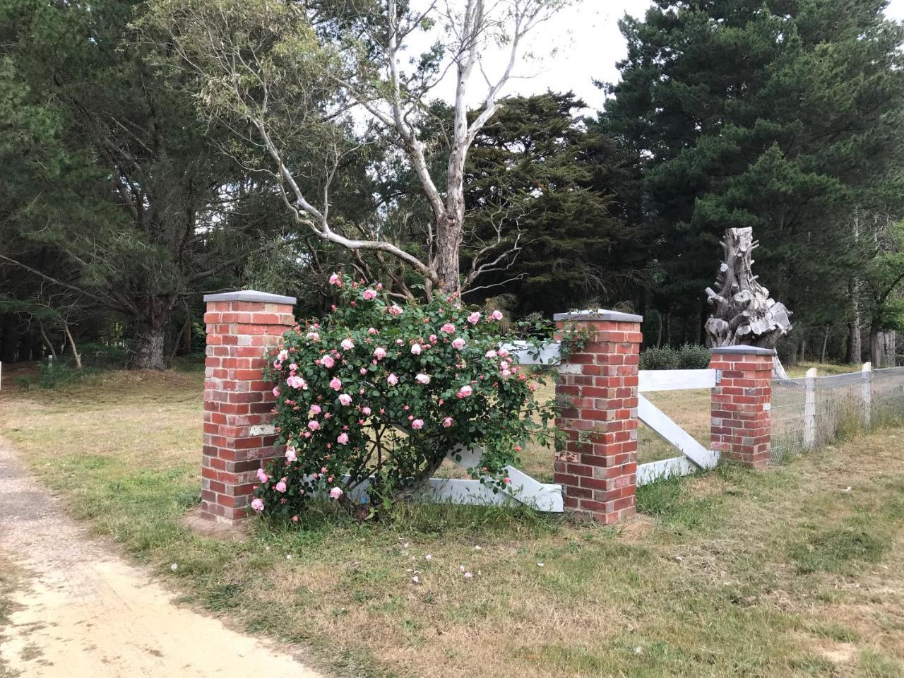 Helen'S Homestead Enfield Екстериор снимка